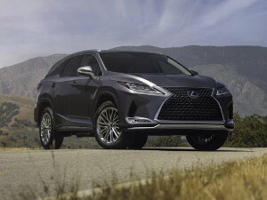 Коврики EVA для Lexus RX350 V (suv / AL20) 2022 - Н.В.